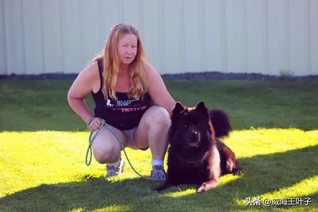 房车旅行可以带猫吗？为什么？