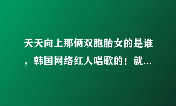 天天向上那俩双胞胎女的是谁，韩国网络红人唱歌的！就现在演那个。