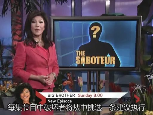 老大哥第十四季的剧情介绍