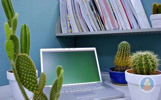 电脑防辐射屏有用吗 电脑防辐射屏选购技巧