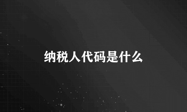 纳税人代码是什么