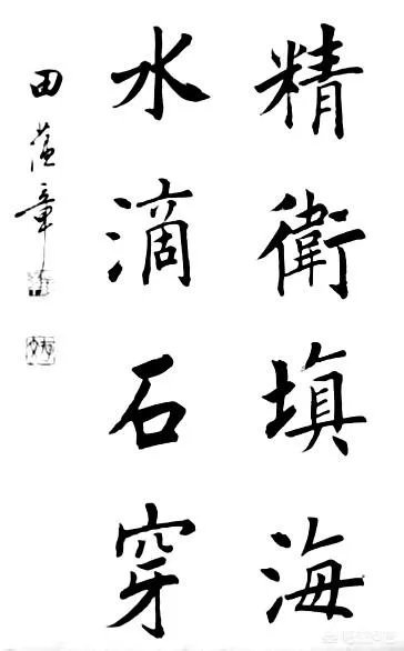 如何看待书法家田蕴章录制新的书法视频讲座,并在宁波某小学现场讲解书法问题这件会?