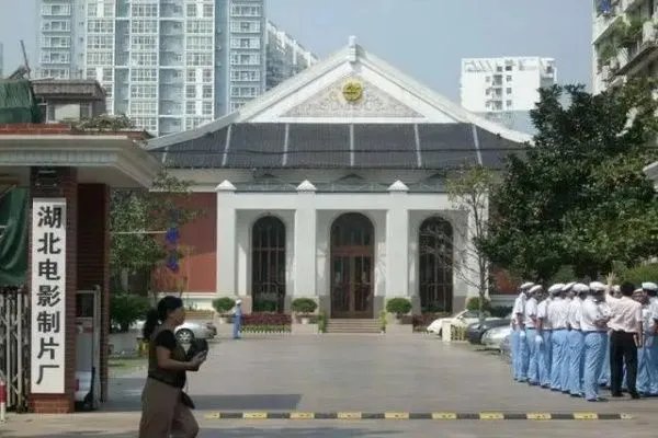 常凯导演一家4口12天内去世，说了什么遗言刺痛人心？