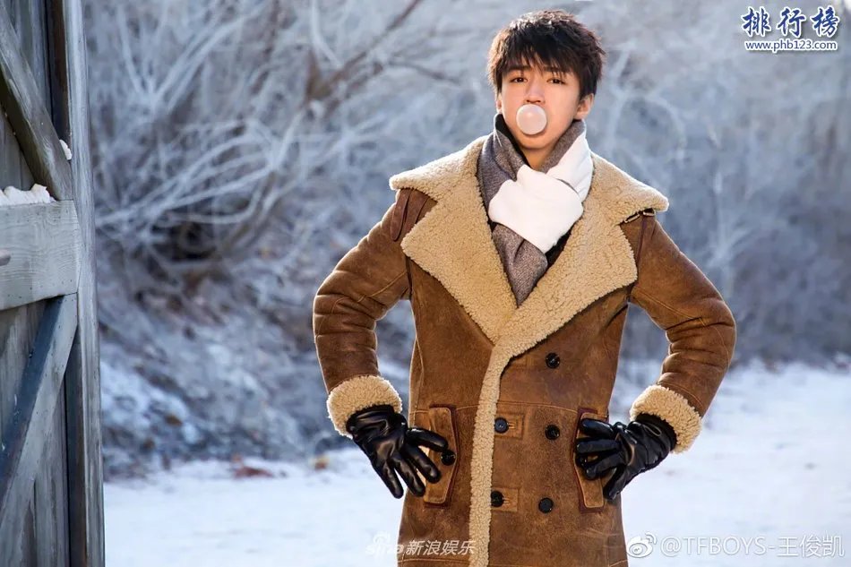 十大95后小鲜肉男明星,最帅95后小鲜肉男明星大盘点