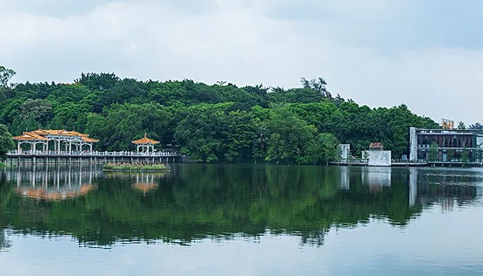 广州市青年公园开放了吗 广州市青年公园开放时间