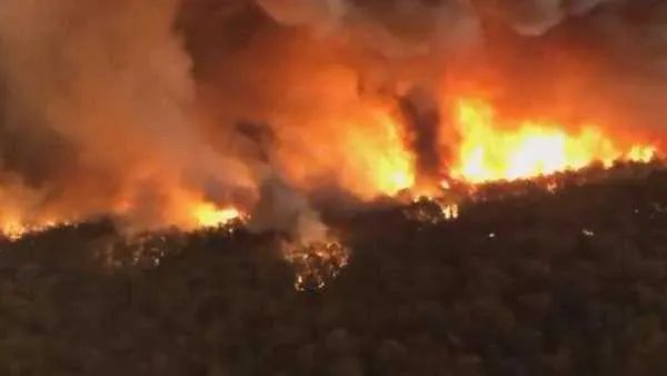 澳大利亚连续高温林火失控,他们为何难以应付山火?