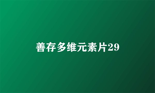 善存多维元素片29