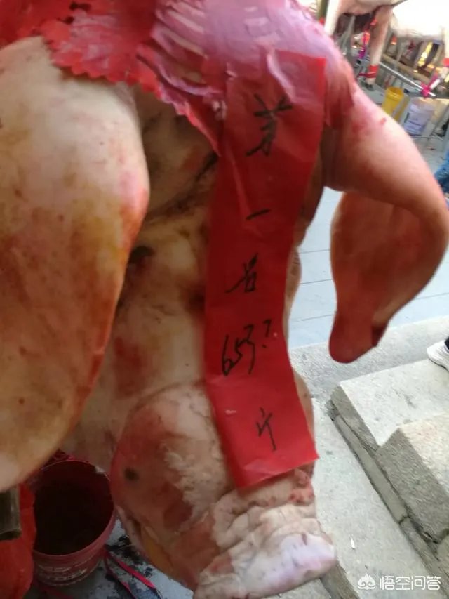 漳州古山重好玩吗？