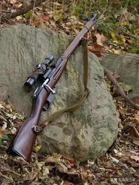 野猪是保护动物国家禁止猎杀,可是农民种的庄稼经常被糟蹋该怎么办?