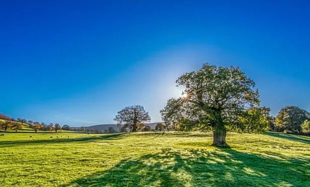 2020年立秋是几点几分 今年什么时候立秋