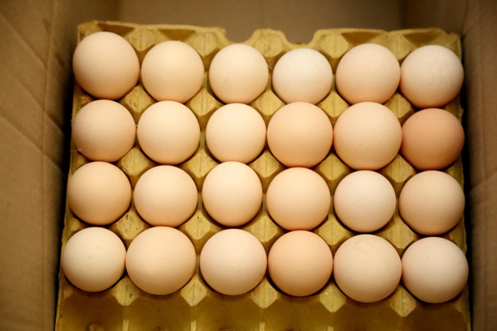 如何看待“熟蛋返生”作者痛哭表示没说过假话？