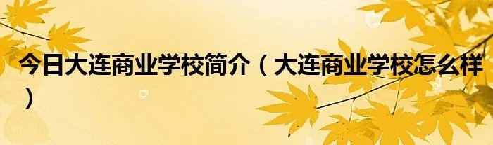 今日大连商业学校简介（大连商业学校怎么样）