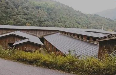 村庄猪圈改民宿是真的吗