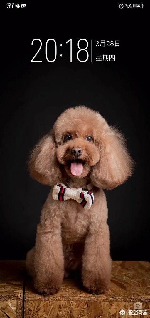 为什么有些人明知道便宜没好货,却依然要买?