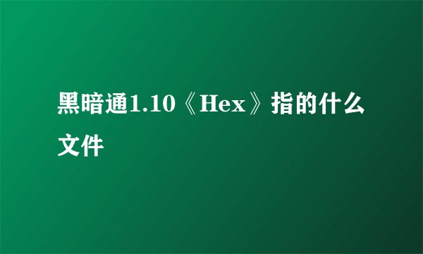 黑暗通1.10《Hex》指的什么文件