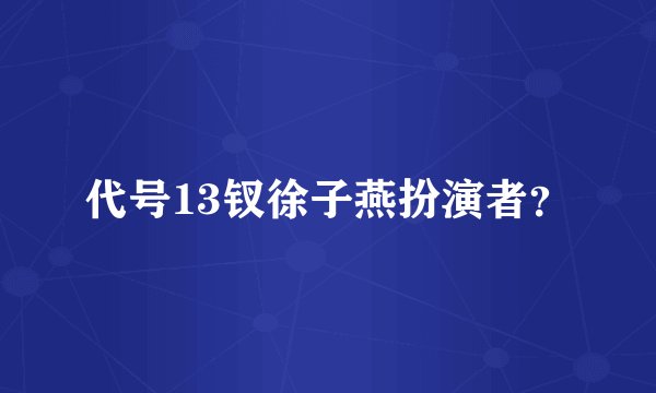 代号13钗徐子燕扮演者？