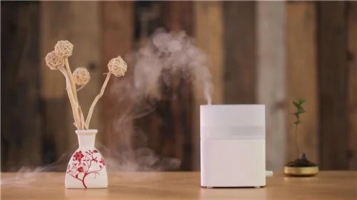 电热式加湿器有什么品牌