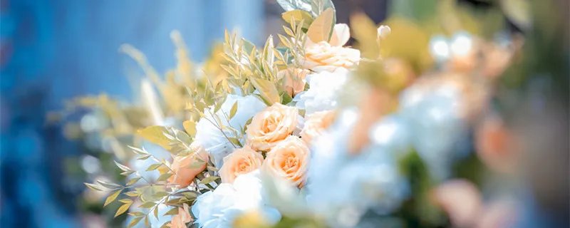 珊瑚婚是指结婚多少年 珊瑚婚是指结婚几年