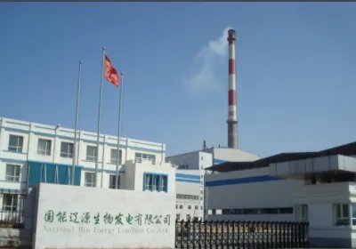 国能生物发电集团有限公司