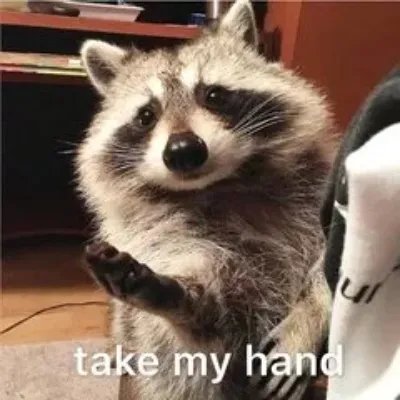 身份证可以查六级成绩吗