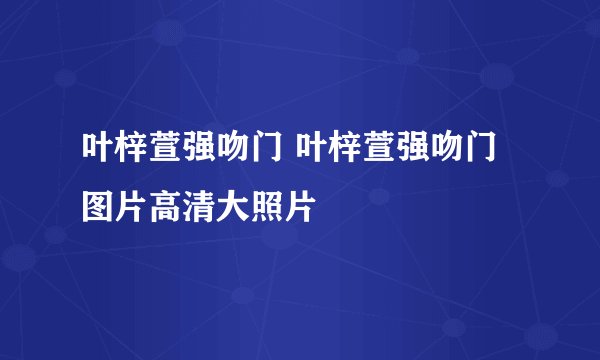 叶梓萱强吻门 叶梓萱强吻门图片高清大照片