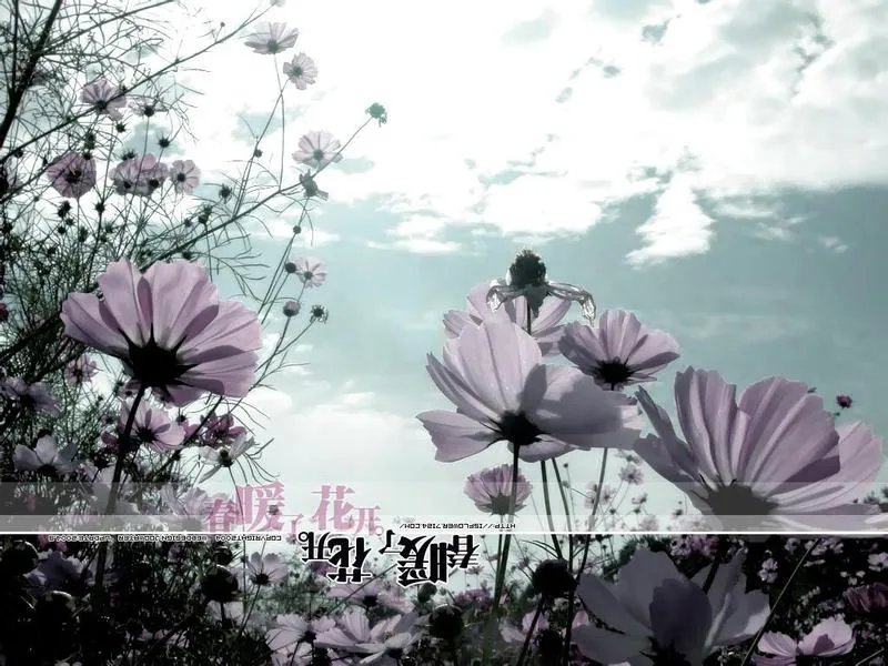 求好看的非主流图片，不要人物的！