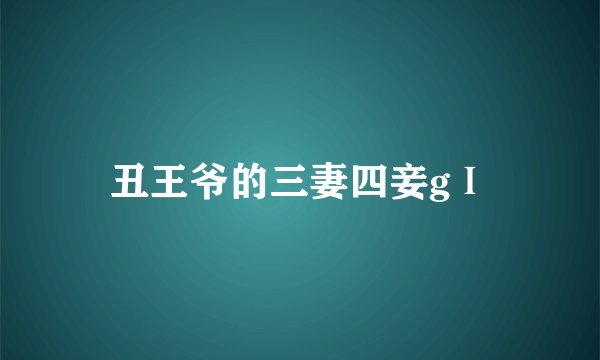 丑王爷的三妻四妾gⅠ
