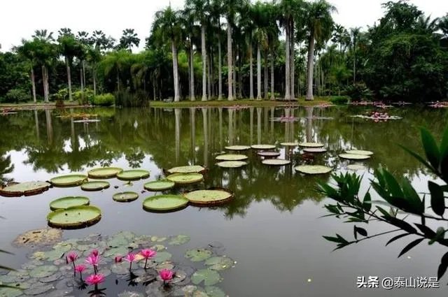 游某一地，在当地租房住一个月，然后深度游，可行吗？有何好建议？