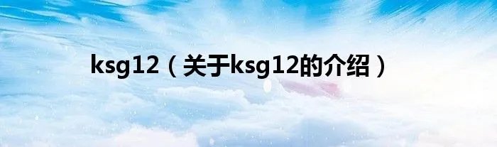 ksg12（关于ksg12的介绍）