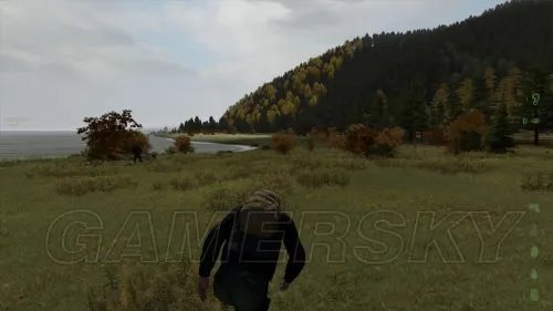 《武装突袭2：DayZ》新手图文指南