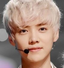 exo成员资料及图片