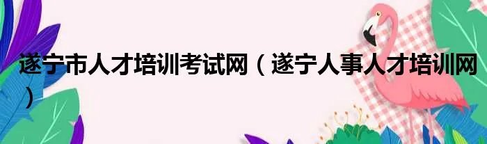 遂宁市人才培训考试网（遂宁人事人才培训网）
