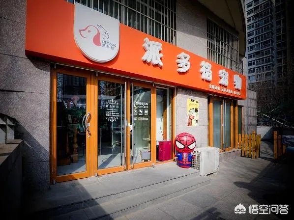 广州开宠物美容店有发展前景吗？