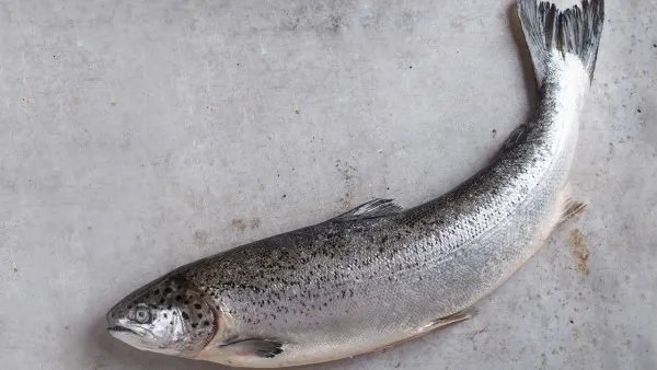 胶原蛋白的功效与作用