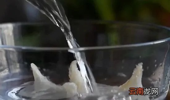 正确炖燕窝的方法