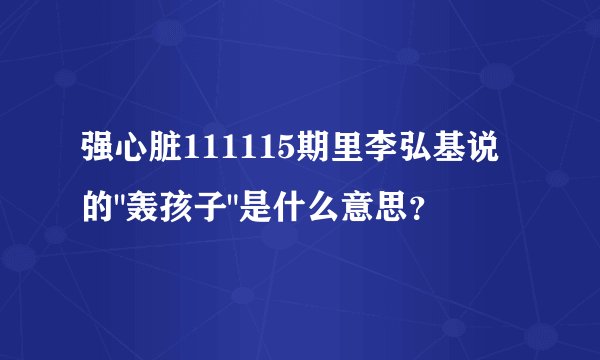 强心脏111115期里李弘基说的