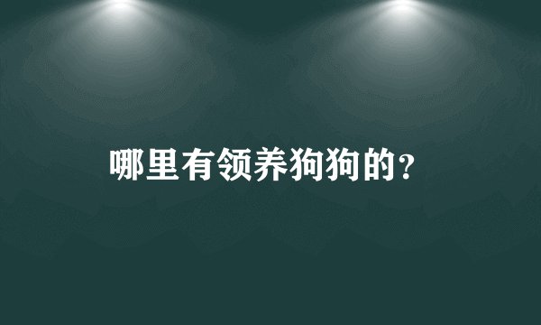 哪里有领养狗狗的?