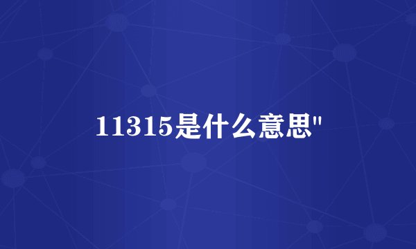 11315是什么意思