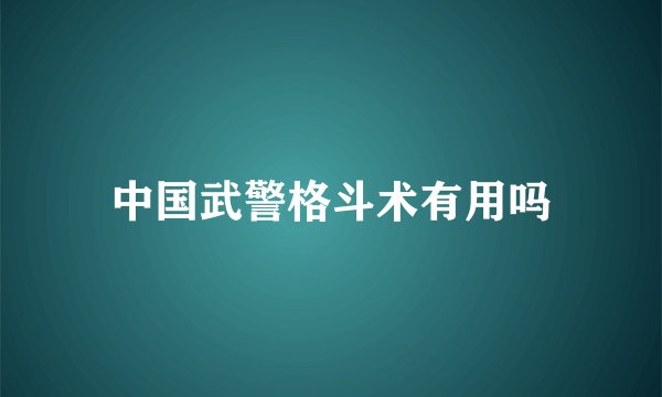 中国武警格斗术有用吗