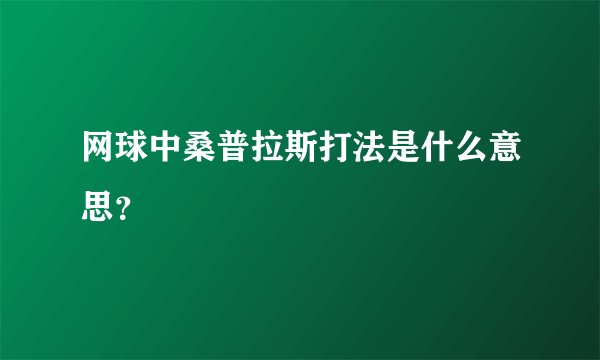 网球中桑普拉斯打法是什么意思？
