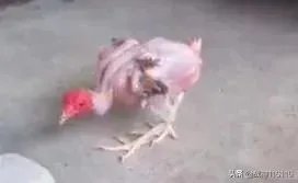 马伊琍文章宣布离婚，出过轨的婚姻，还要不要继续下去？