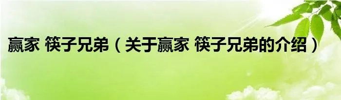 赢家 筷子兄弟（关于赢家 筷子兄弟的介绍）