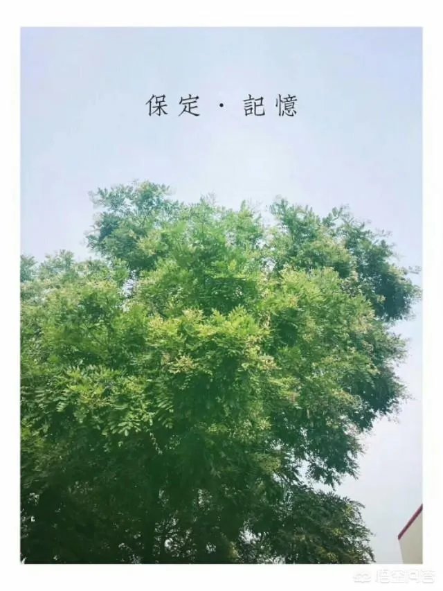 保定人去万博都玩什么?