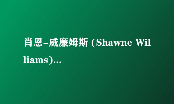 肖恩-威廉姆斯 (Shawne Williams) 09到10赛季在哪个球队打球？