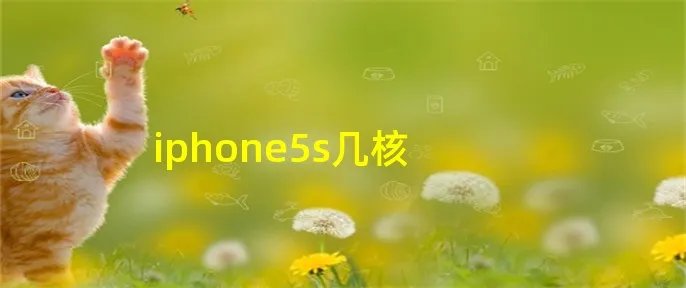 iphone5s几核