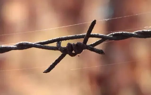 大学生李文星赴天津求职蹊跷死亡，应怎样避免这种情况发生？