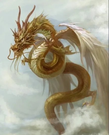 中华龙族有什么？