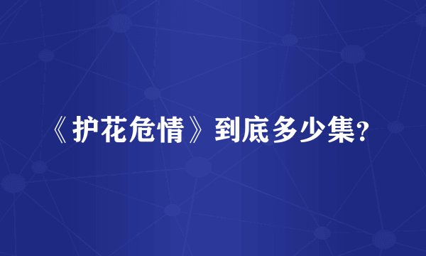 《护花危情》到底多少集？