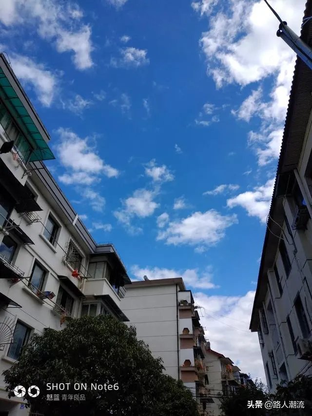 景区宝更名提谱旅行