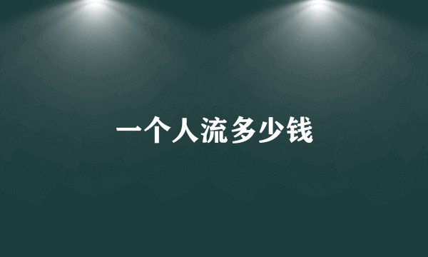 一个人流多少钱